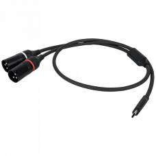 DAP FL112 - USB-C to 2 XLR/M 3P